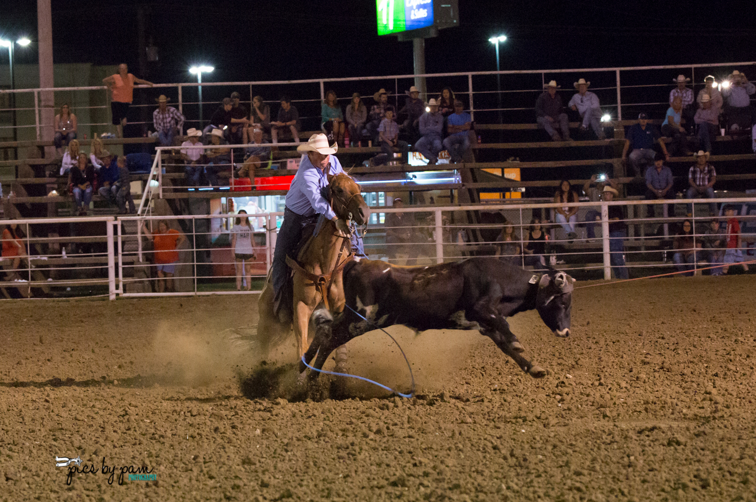 The Original Will Rogers Memorial Rodeo